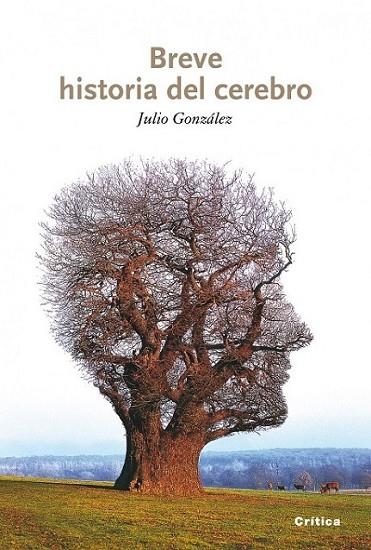 BREVE HISTORIA DEL CEREBRO | 9788498921151 | GONZALEZ ALVAREZ, JULIO | Librería Castillón - Comprar libros online Aragón, Barbastro