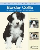 BORDER COLLIE - NUEVAS GUÍAS PERROS DE RAZA | 9788425519475 | O'SULLIVAN, CATERINA | Librería Castillón - Comprar libros online Aragón, Barbastro