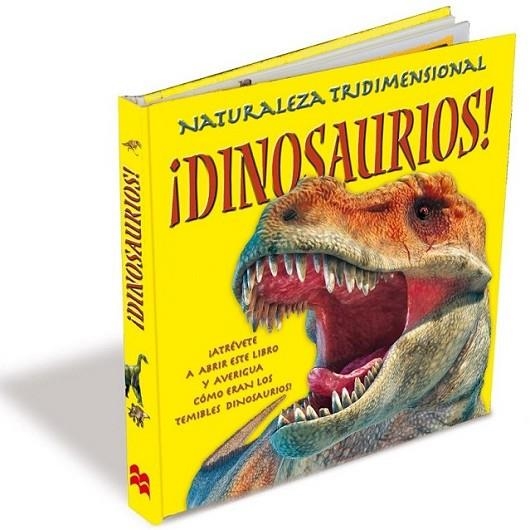 ¡DINOSAURIOS! | 9788479425944 | BAMPTON, CLAIRE | Librería Castillón - Comprar libros online Aragón, Barbastro