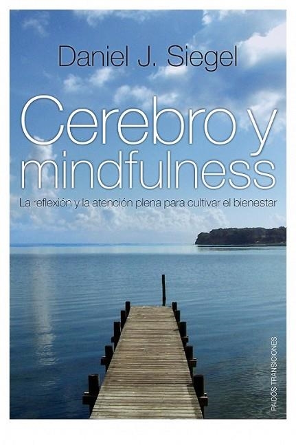 CEREBRO Y MINDFULNESS | 9788449324093 | SIEGEL, DANIEL J. | Librería Castillón - Comprar libros online Aragón, Barbastro