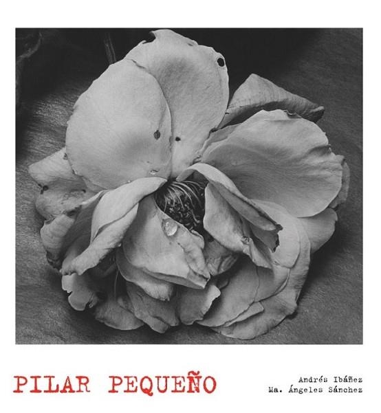 PILAR PEQUEÑO | 9788497856874 | IBÁÑEZ, ANDRÉS; RODRÍGUEZ SÁNCHEZ, Mª.DE LOS ÁNGELES | Librería Castillón - Comprar libros online Aragón, Barbastro