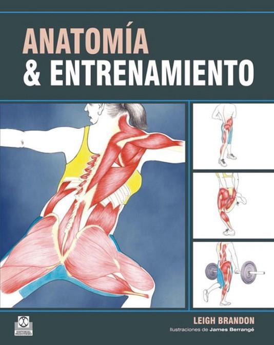 ANATOMÍA & ENTRENAMIENTO | 9788499100548 | BRANDON, LEIGH | Librería Castillón - Comprar libros online Aragón, Barbastro