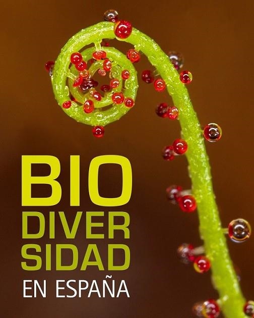 BIODIVERSIDAD EN ESPAÑA | 9788497856317 | ARAUJO, JOAQUIN | Librería Castillón - Comprar libros online Aragón, Barbastro