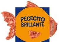 PECECITO BRILLANTE - ANIMALES BRILLANTES | 9788499133423 | Todolibro, Equipo | Librería Castillón - Comprar libros online Aragón, Barbastro