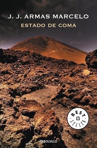 ESTADO DE COMA | 9788499087733 | ARMAS MARCELO, JUAN JOSE | Librería Castillón - Comprar libros online Aragón, Barbastro