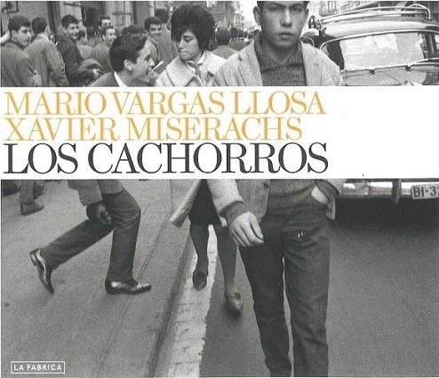 CACHORROS, LOS | 9788492841318 | VARGAS LLOSA, MARIO; MISERACHS, XAVIER | Librería Castillón - Comprar libros online Aragón, Barbastro