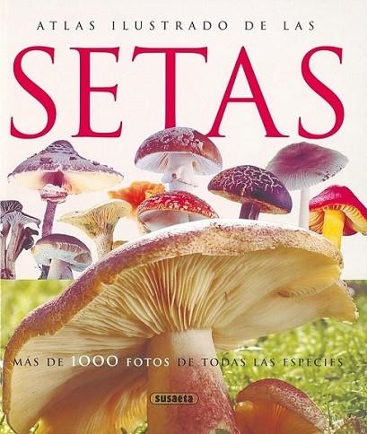 ATLAS ILUSTRADO DE LAS SETAS | 9788430547210 | LAMAISON, JEAN-LOUIS | Librería Castillón - Comprar libros online Aragón, Barbastro