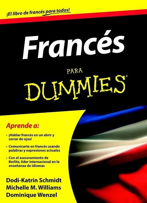 FRANCES PARA DUMMIES | 9788432920691 | SCHMIDT, DODI-KATRIN | Librería Castillón - Comprar libros online Aragón, Barbastro