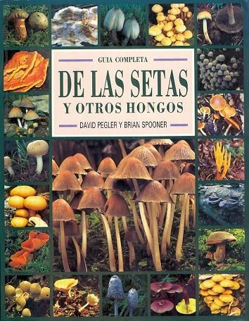 GUIA COMPLETA DE LAS SETAS Y OTROS HONGOS | 9788487756535 | PEGLER, DAVID N. ; SPOONER, BRIAN | Librería Castillón - Comprar libros online Aragón, Barbastro