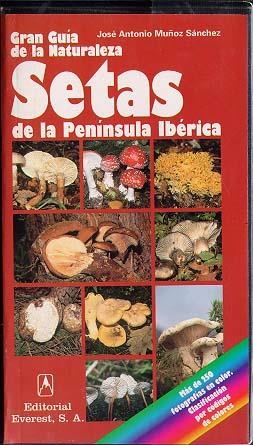 SETAS DE LA PENINSULA IBERICA | 9788424126896 | MUÑOZ SANCHEZ, JOSE ANTONIO | Librería Castillón - Comprar libros online Aragón, Barbastro