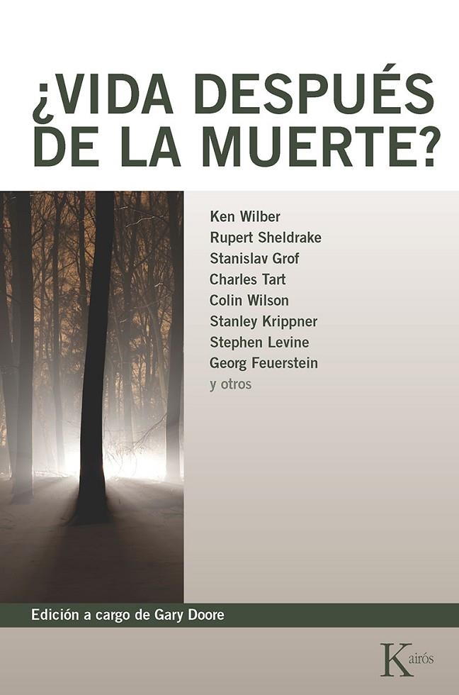 VIDA DESPUES DE LA MUERTE ? | 9788472452619 | DOORE, GARY | Librería Castillón - Comprar libros online Aragón, Barbastro