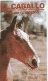 El caballo, su cría y cuidados | 9788425507793 | Saunders, Ray | Librería Castillón - Comprar libros online Aragón, Barbastro