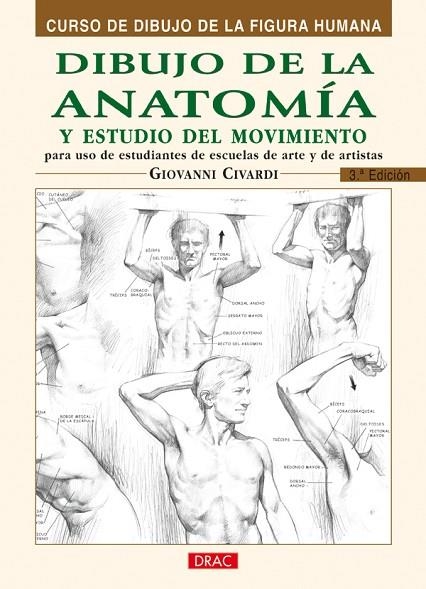 DIBUJO DE LA ANATOMÍA Y ESTUDIO DEL MOVIMIENTO | 9788495873606 | Civardi, Giovanni | Librería Castillón - Comprar libros online Aragón, Barbastro