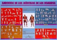 Ejercicios de los músculos de los hombros. | 9788486475154 | Mateo Vila, Jordi.Lacambra Pérez, Anna. | Librería Castillón - Comprar libros online Aragón, Barbastro