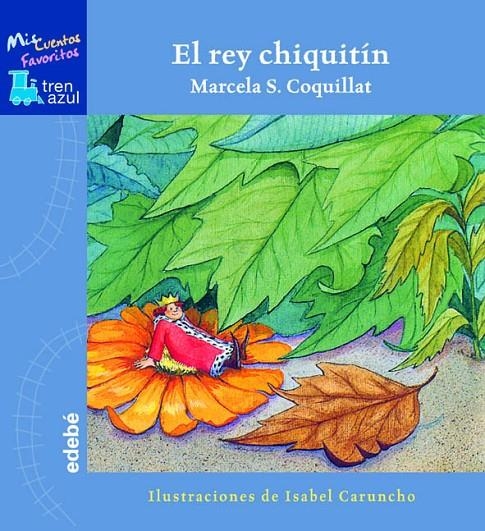 REY CHIQUITIN, EL | 9788423670000 | COQUILLAT, MARCELA S. | Librería Castillón - Comprar libros online Aragón, Barbastro