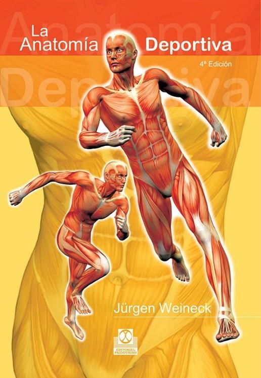 ANATOMIA DEPORTIVA, LA | 9788480192095 | WEINECK, JURGEN | Librería Castillón - Comprar libros online Aragón, Barbastro