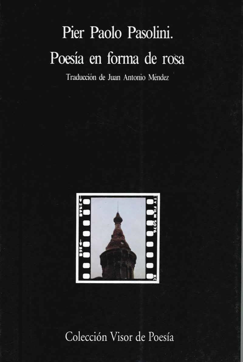 POESIA EN FORMA DE ROSA | 9788475221632 | PASOLINI, PIER PAOLO | Librería Castillón - Comprar libros online Aragón, Barbastro