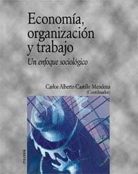 ECONOMIA ORGANIZACION Y TRABAJO | 9788436813340 | CASTILLO MENDOZA, CARLOS ALBERTO | Librería Castillón - Comprar libros online Aragón, Barbastro