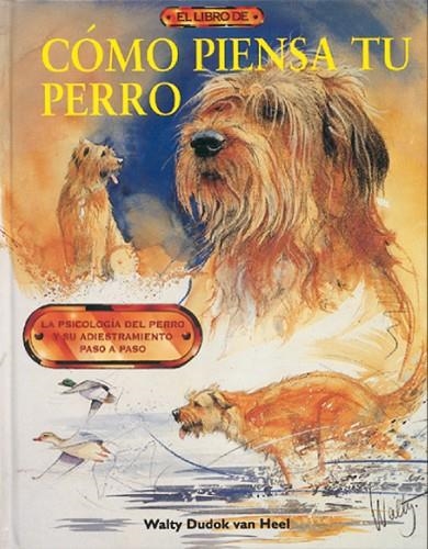 El libro de CÓMO PIENSA TU PERRO | 9788488893659 | Dudok van Heel, Walty | Librería Castillón - Comprar libros online Aragón, Barbastro