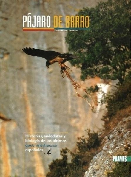 PAJARO DE BARRO | 9788483210475 | GOMEZ SAMITIER, DAVID | Librería Castillón - Comprar libros online Aragón, Barbastro