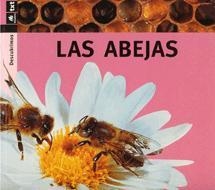 ABEJAS, LAS - DESCUBRIMOS | 9788424607821 | ARANEGA, SUSANNA | Librería Castillón - Comprar libros online Aragón, Barbastro