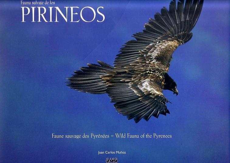 FAUNA SALVAJE DE LOS PIRINEOS (ESPAÑOL-FRANCES-INGLES) | 9788482161815 | MUÑOZ, JUAN CARLOS | Librería Castillón - Comprar libros online Aragón, Barbastro