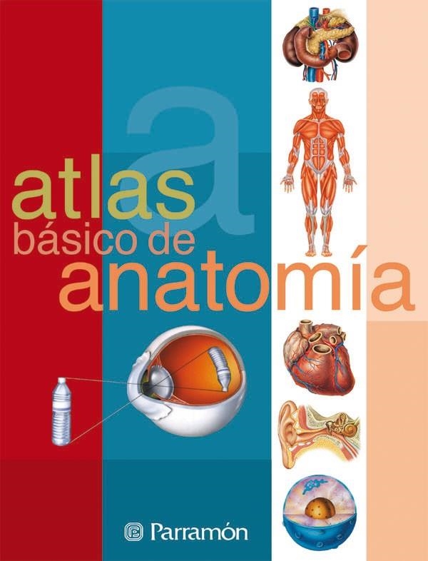 ATLAS DE ANATOMIA (R) ATLAS TEMATICOS | 9788434223141 | PARRAMON | Librería Castillón - Comprar libros online Aragón, Barbastro