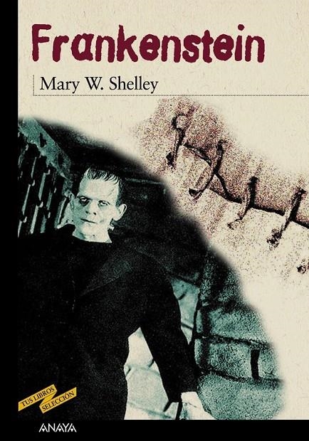 FRANKENSTEIN (TUS LIBROS SELECCION) | 9788420712284 | SHELLEY, MARY W. | Librería Castillón - Comprar libros online Aragón, Barbastro