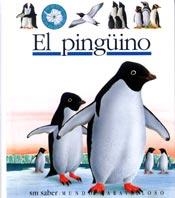 PINGUINO, EL (MUM 62) | 9788434881259 | METTLER, RENE | Librería Castillón - Comprar libros online Aragón, Barbastro