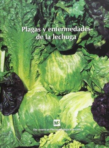 PLAGAS Y ENFERMEDADES DE LA LECHUGA | 9788484760511 | AMERICAN PHYTOPATHOLOGICAL SOCIETY | Librería Castillón - Comprar libros online Aragón, Barbastro