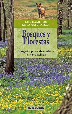 BOSQUES Y FLORESTAS. ECOGUIA PARA DESCUBRIR LA NATURALEZA | 9788489840287 | Librería Castillón - Comprar libros online Aragón, Barbastro