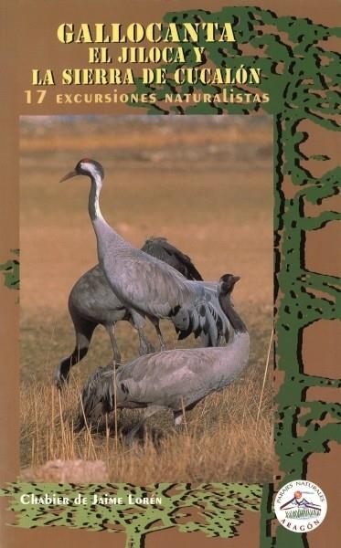 GALLOCANTA EL JILOCA Y LA SIERRA DE CUCALON | 9788483210925 | Jaime Lorén, Javier de | Librería Castillón - Comprar libros online Aragón, Barbastro