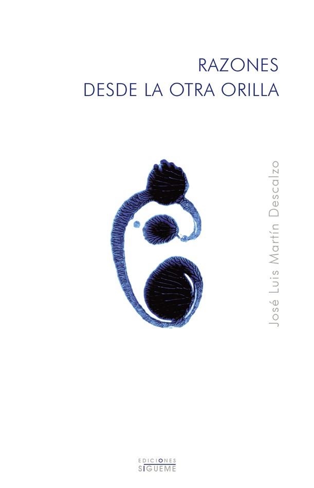 RAZONES DESDE LA OTRA ORILLA | 9788430114016 | MARTIN DESCALZO, JOSE LUIS | Librería Castillón - Comprar libros online Aragón, Barbastro