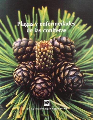 PLAGAS Y ENFERMEDADES DE LAS CONIFERAS | 9788484760672 | THE AMERICAN PHYTOPATHOLOGICAL SOCIETY | Librería Castillón - Comprar libros online Aragón, Barbastro