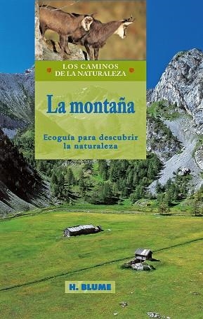 MONTAÑA, LA. ECOLOGIA PARA DESCUBRIR LA NATURALEZA | 9788489840324 | Librería Castillón - Comprar libros online Aragón, Barbastro