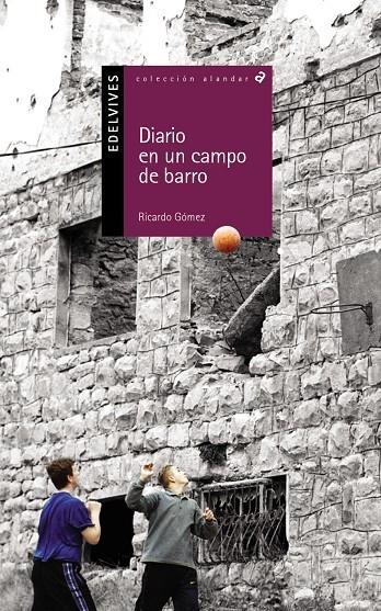 DIARIO DE UN CAMPO DE BARRO | 9788426348432 | GOMEZ GIL, RICARDO | Librería Castillón - Comprar libros online Aragón, Barbastro