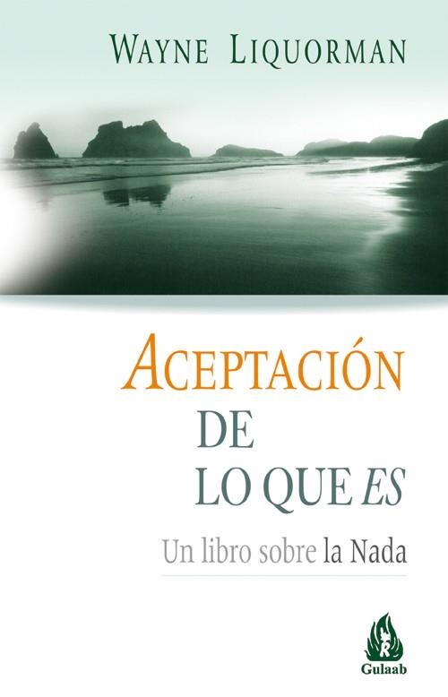 ACEPTACION DE LO QUE ES | 9788486797966 | LIQUORMAN, WAYNE | Librería Castillón - Comprar libros online Aragón, Barbastro