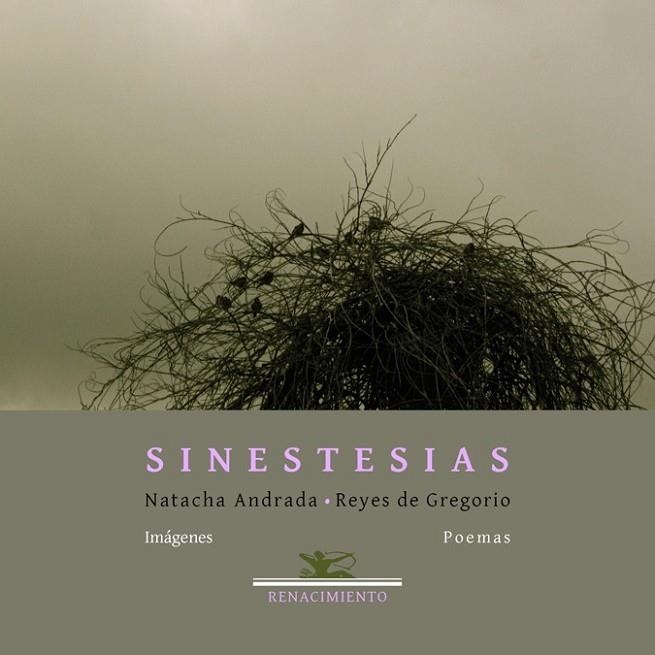 Sinestesias | 9788484728382 | Gregorio, Reyes de; Andrada, Natacha | Librería Castillón - Comprar libros online Aragón, Barbastro