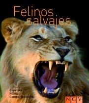 Felinos salvajes | 9783625120926 | VV.AA. | Librería Castillón - Comprar libros online Aragón, Barbastro