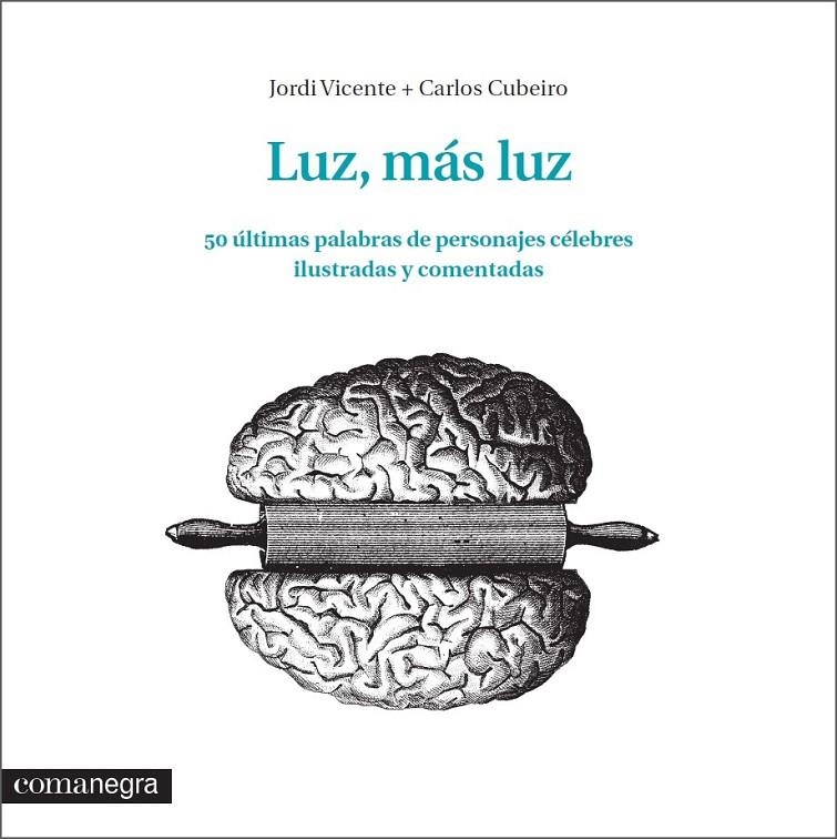 Luz, más luz | 9788416033348 | Vicente Ródenas, Jordi; Díaz Cubeiro, Carlos | Librería Castillón - Comprar libros online Aragón, Barbastro