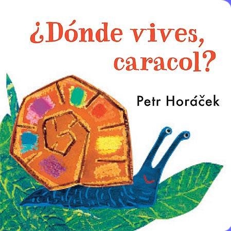 ¿Dónde vives, caracol? | 9788426140777 | Horácek, Petr | Librería Castillón - Comprar libros online Aragón, Barbastro