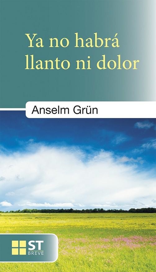 Ya no habrá llanto ni dolor | 9788429321951 | Grün, Anselm | Librería Castillón - Comprar libros online Aragón, Barbastro