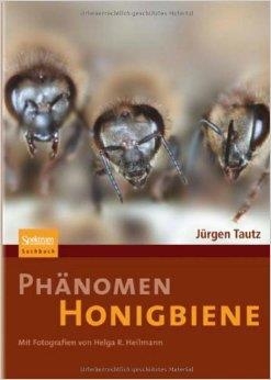 Phänomen honigbiene | 9783827418456 | Tautz, Jürgen | Librería Castillón - Comprar libros online Aragón, Barbastro