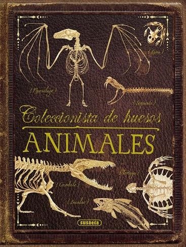 Animales - Coleccionista de huesos | 9788467734355 | Colson, Rob | Librería Castillón - Comprar libros online Aragón, Barbastro