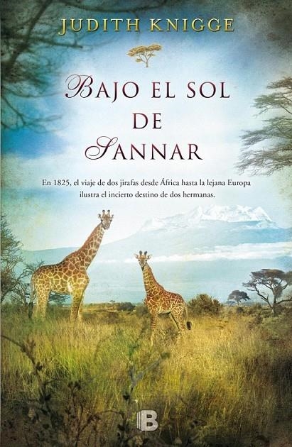 Bajo el sol de Sannar | 9788466656146 | Knigge, Judith | Librería Castillón - Comprar libros online Aragón, Barbastro