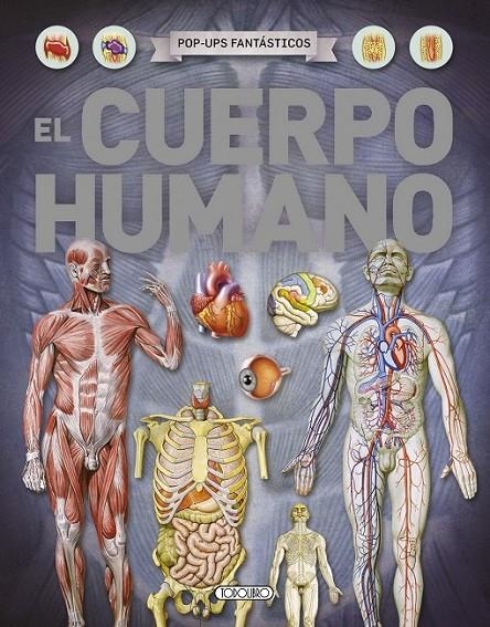 CUERPO HUMANO EL | 9788490372326 | VV AA | Librería Castillón - Comprar libros online Aragón, Barbastro