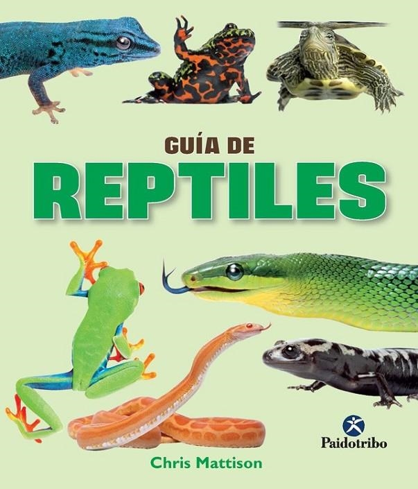 GUÍA DE REPTILES  (Color) | 9788499105390 | Mattison, Chris | Librería Castillón - Comprar libros online Aragón, Barbastro