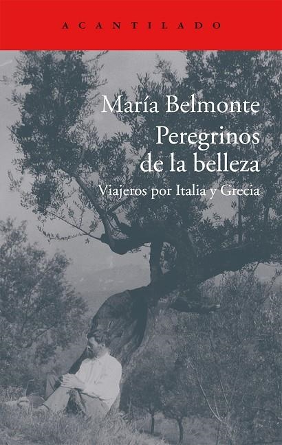 Peregrinos de la belleza | 9788416011513 | Belmonte Barrenechea, María | Librería Castillón - Comprar libros online Aragón, Barbastro