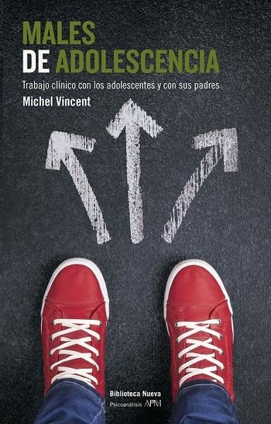 MALES DE ADOLESCENCIA | 9788416170364 | MICHEL VICENT | Librería Castillón - Comprar libros online Aragón, Barbastro