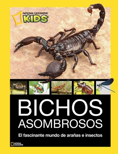 Bichos Asombrosos | 9788482986098 | VARIOS AUTORES | Librería Castillón - Comprar libros online Aragón, Barbastro